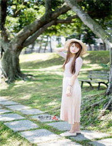 德川女系图
