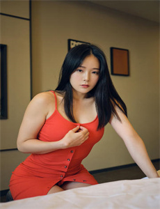刑警2010国语下载
